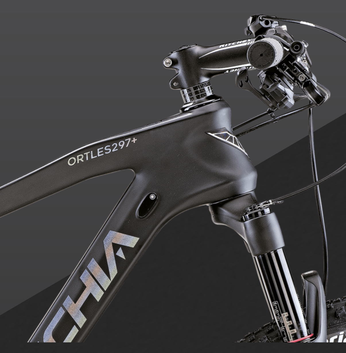 BOTTECCHIA OURTLES 297+ ( 2026 ) - immagine 4