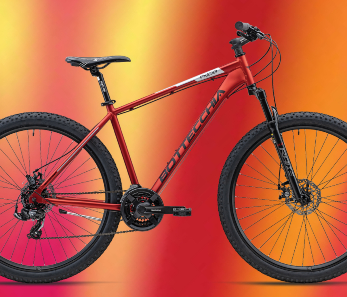 COPPIA BOTTECCHIA 109 ( 2026 ) - immagine 4