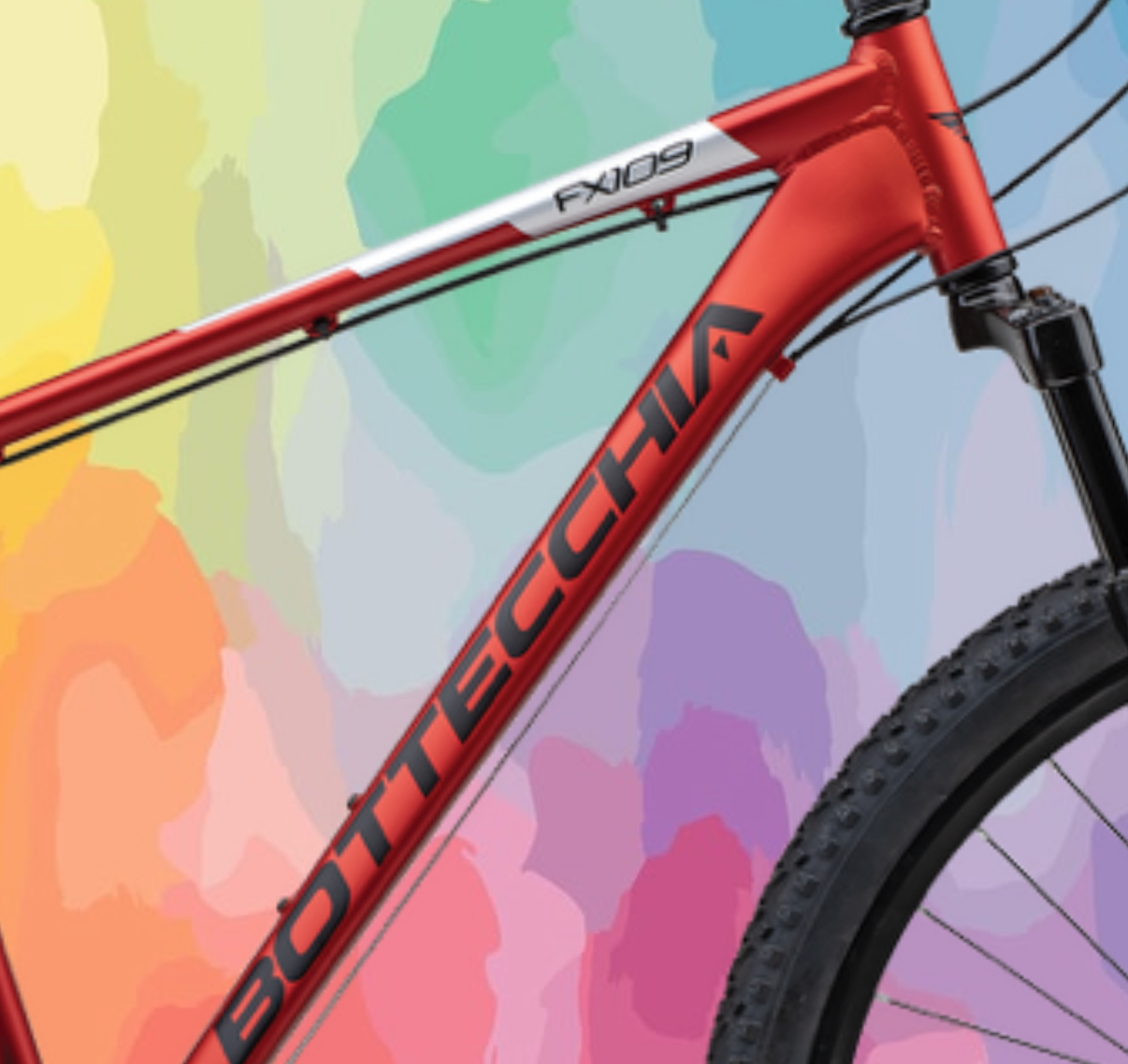 COPPIA BOTTECCHIA 109 ( 2026 ) - immagine 8