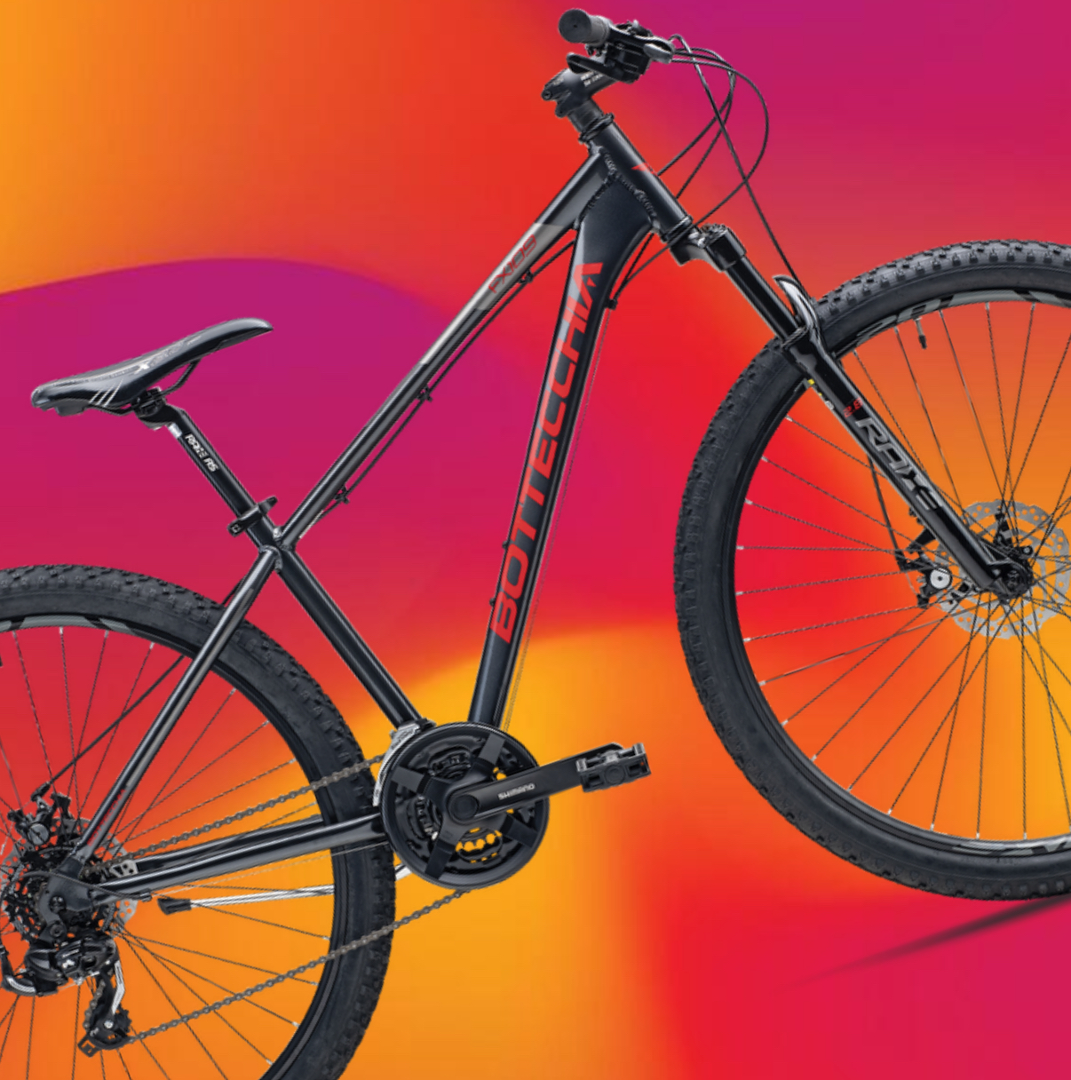 COPPIA BOTTECCHIA 109 ( 2026 ) - immagine 6