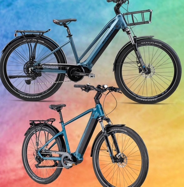 Coppia BE29 / BE30 CROSS OVER EVO | E-Trekking Bottecchia 900WH