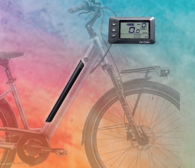 BOTTECCHIA BE15 OXFORD | New Collection 2026 - immagine 4