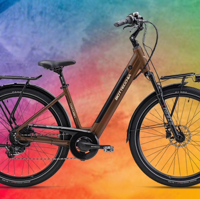 BOTTECCHIA BE15 OXFORD | New Collection 2026