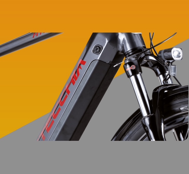 DUE BICI ELETTRICHE 900Wh BOTTECCHIA - immagine 7